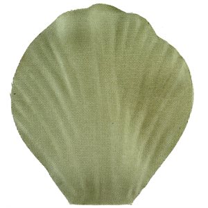 Pétale avec feuille Olive 5 x 4.6 cm Sachet de 100 pièces