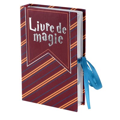 Boîte livre Sorcier Multicolore 16 x 10 x 3 cm La pièce